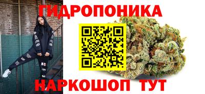 соль ск Пугачёв