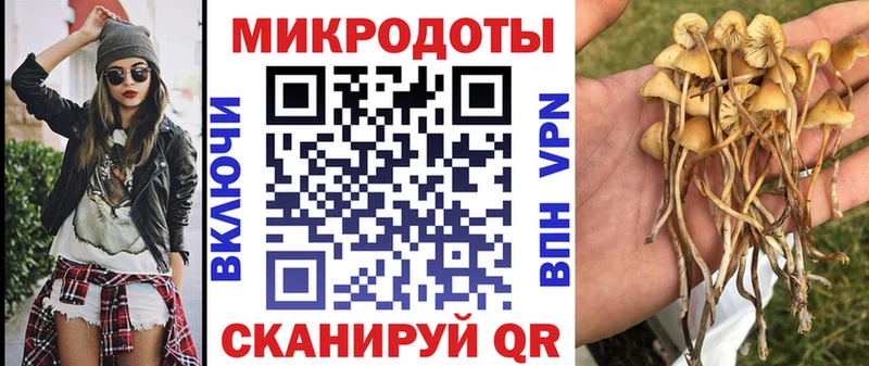 мега маркетплейс  Пушкино  Псилоцибиновые грибы мухоморы 