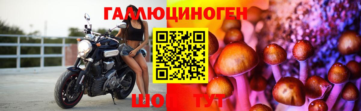 Псилоцибиновые грибы Cubensis Пушкино