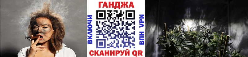 Бошки Шишки планчик  Пушкино 